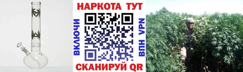 Купить закладку Орехово-Зуево МАРИХУАНА  Мефедрон  ГАШИШ 