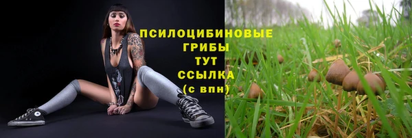 mdpv Алексеевка