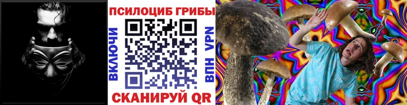 как найти наркотики  Орехово-Зуево  Псилоцибиновые грибы прущие грибы 